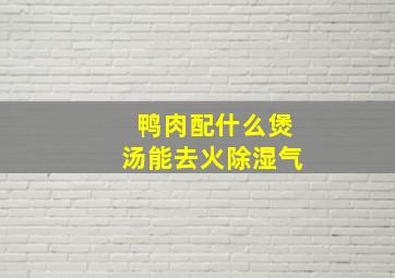 鸭肉配什么煲汤能去火除湿气