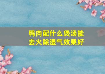 鸭肉配什么煲汤能去火除湿气效果好