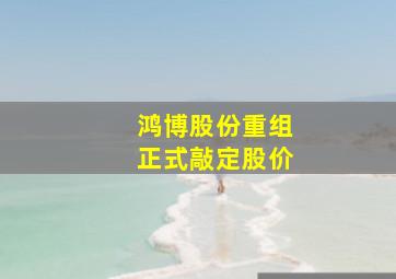 鸿博股份重组正式敲定股价