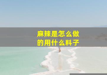 麻辣是怎么做的用什么料子