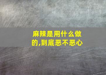 麻辣是用什么做的,到底恶不恶心