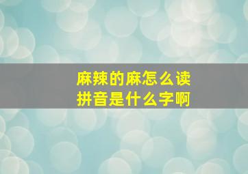 麻辣的麻怎么读拼音是什么字啊