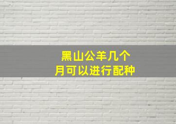 黑山公羊几个月可以进行配种