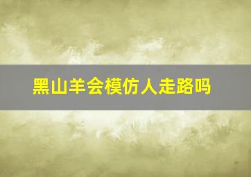 黑山羊会模仿人走路吗