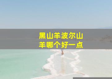 黑山羊波尔山羊哪个好一点