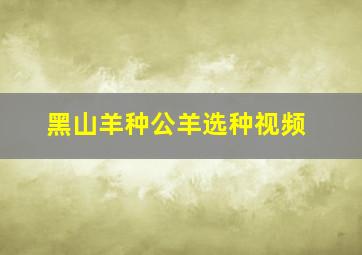 黑山羊种公羊选种视频