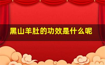 黑山羊肚的功效是什么呢