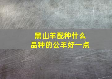 黑山羊配种什么品种的公羊好一点