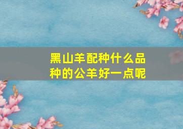 黑山羊配种什么品种的公羊好一点呢