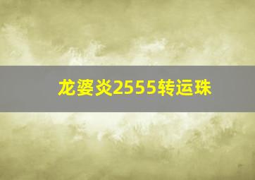 龙婆炎2555转运珠