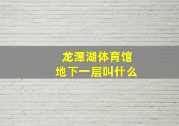 龙潭湖体育馆地下一层叫什么