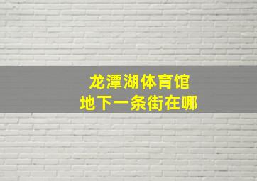 龙潭湖体育馆地下一条街在哪