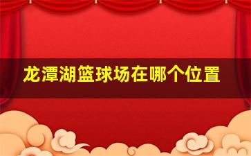 龙潭湖篮球场在哪个位置