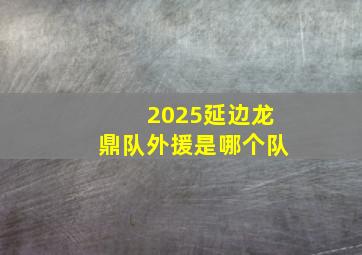 2025延边龙鼎队外援是哪个队