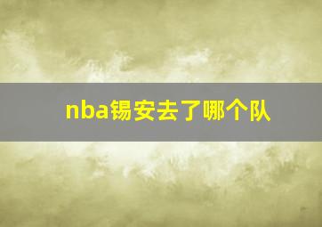 nba锡安去了哪个队