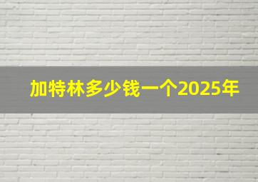 加特林多少钱一个2025年