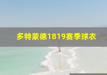 多特蒙德1819赛季球衣