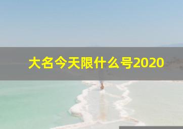 大名今天限什么号2020