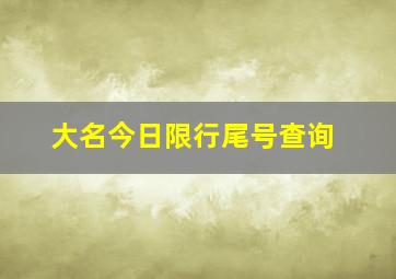 大名今日限行尾号查询