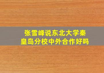 张雪峰说东北大学秦皇岛分校中外合作好吗