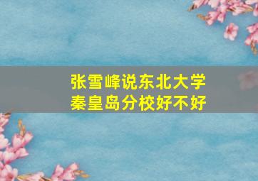 张雪峰说东北大学秦皇岛分校好不好