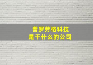 普罗劳格科技是干什么的公司