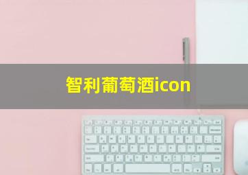 智利葡萄酒icon