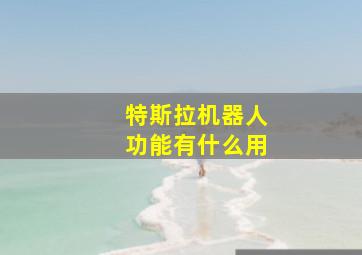 特斯拉机器人功能有什么用