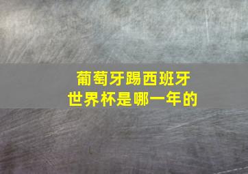 葡萄牙踢西班牙世界杯是哪一年的