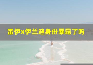 雷伊x伊兰迪身份暴露了吗