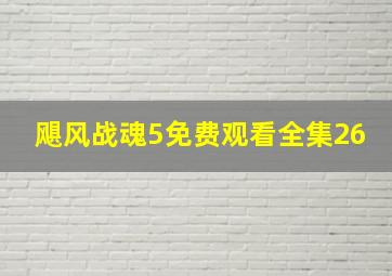 飓风战魂5免费观看全集26